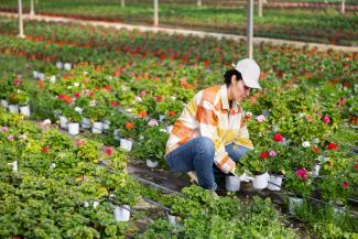 Ouvrier qualifié en horticulture 